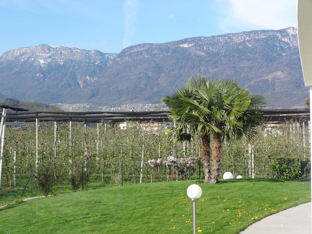 Apartments Klotz Bolzano Exteriör bild
